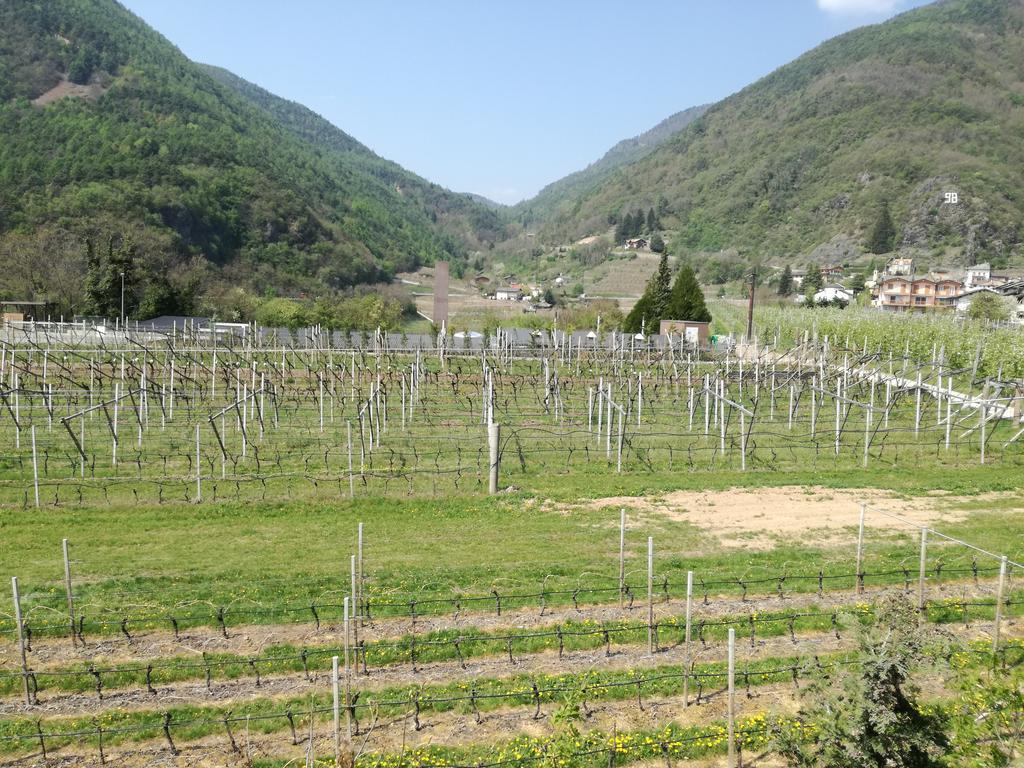 Agriturismo Le Cavade Cembra Lisignago Exterior foto